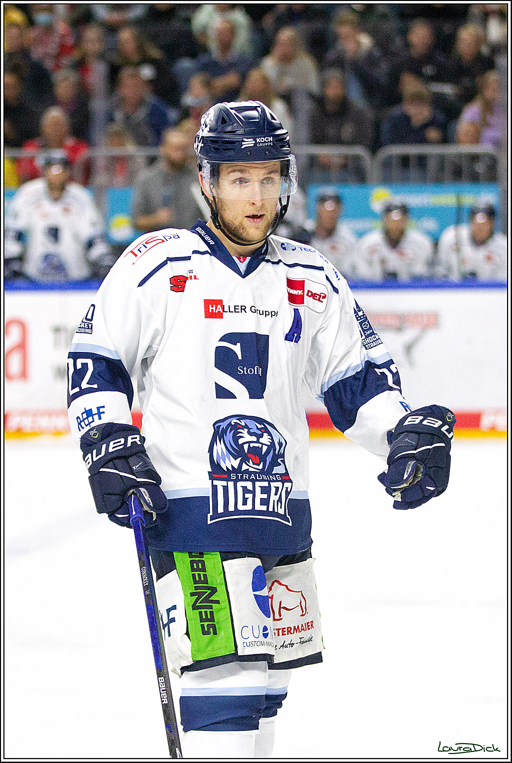 PENNY DEL;  Koelner Haie - Straubing Tigers; Koeln, 15.10.2021